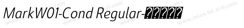 MarkW01-Cond Regular字体转换